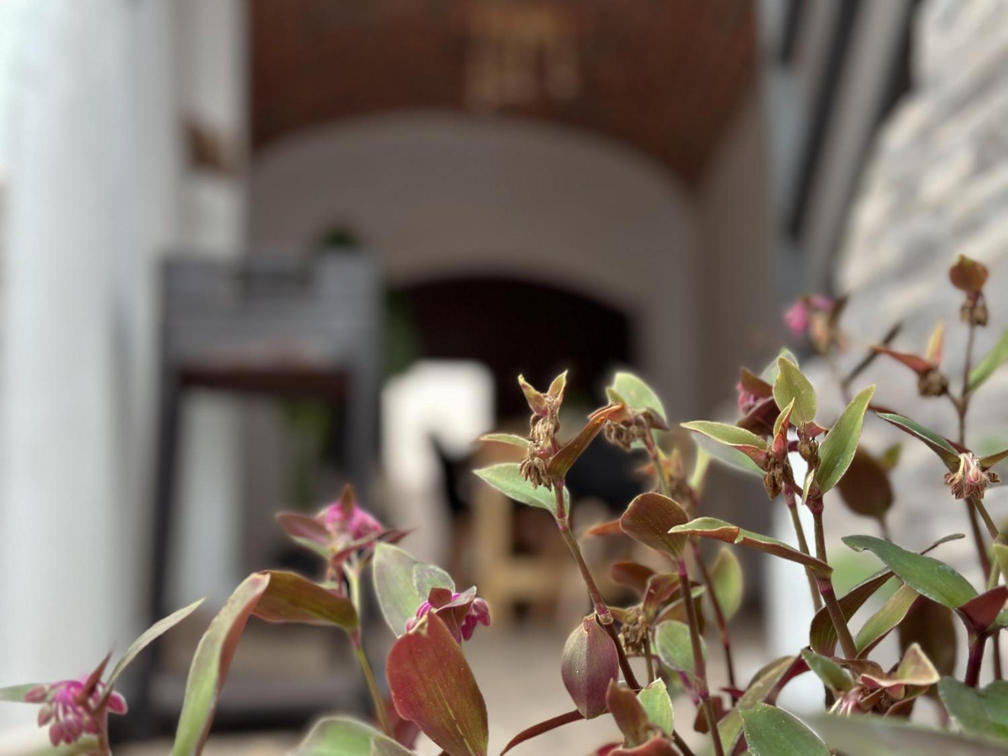 Casa Rural Alcocer Deluxe L Privacidad E Intimidad Puebla de Alcocer Luaran gambar